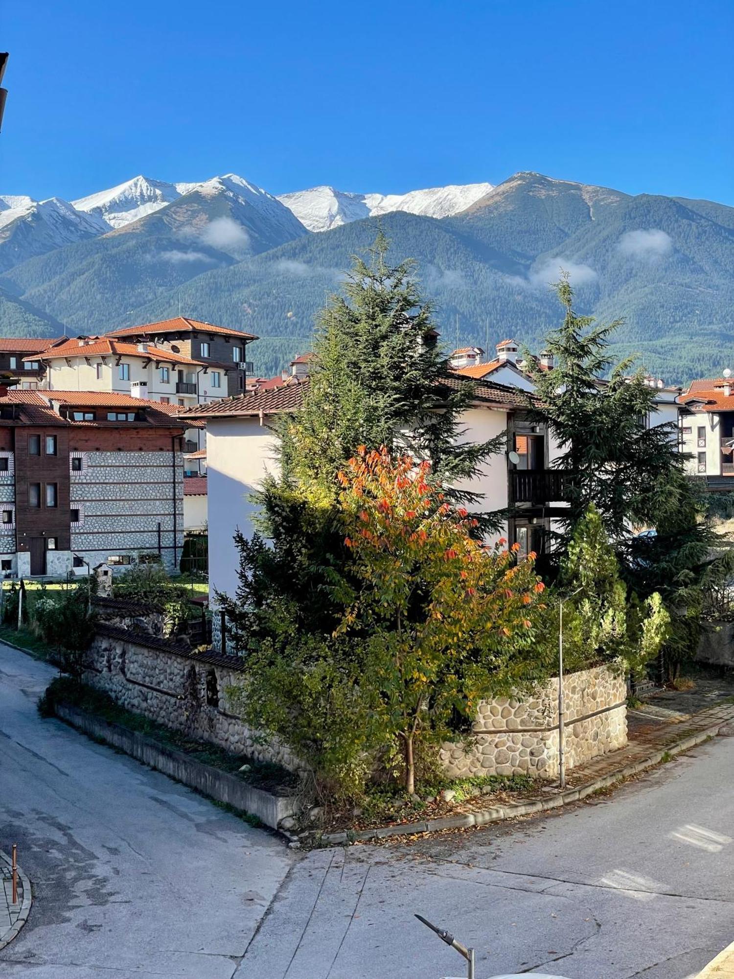 Private Apartments Next To Bellevue Residence 班斯科 外观 照片